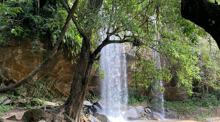 Shimba Hills